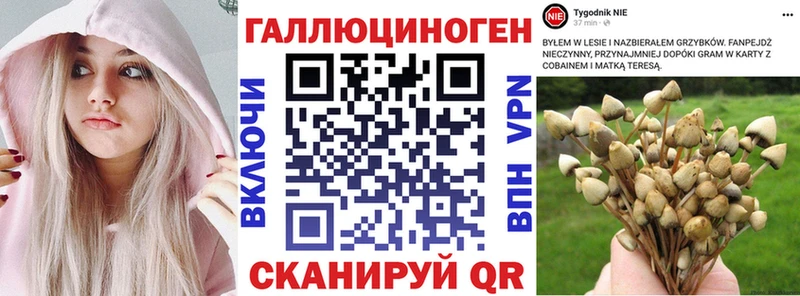 Галлюциногенные грибы MAGIC MUSHROOMS  Новодвинск 